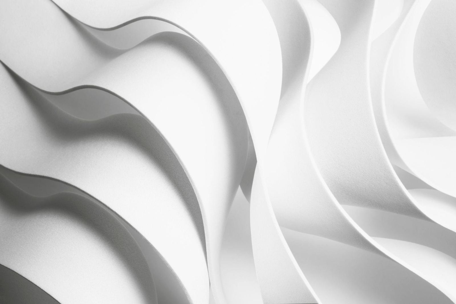 Soft white curved forms, lit from the left